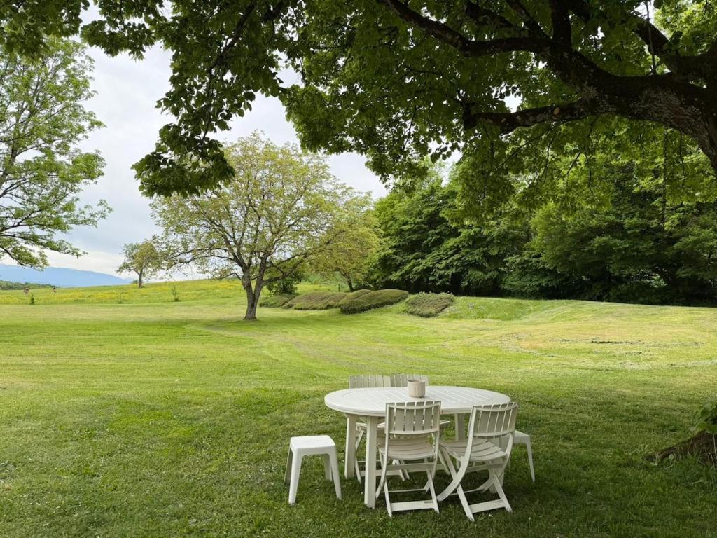 a white table and chairs in a field at Château de Savigny - Suite Terre in Savigny