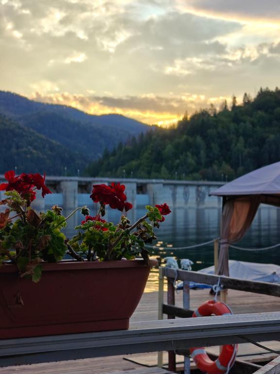 a potted plant sitting on a table next to a body of water at La Coca Lake House in Bicaz