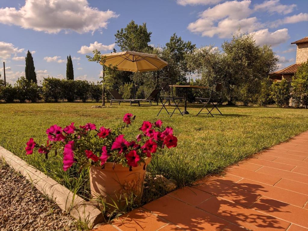 a pot of flowers in a park with an umbrella at Il poggio più 'n giù in Volterra