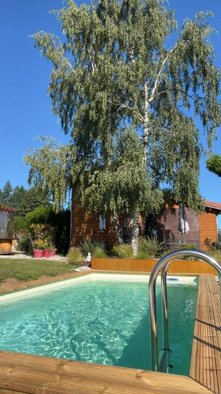 a large swimming pool with a tree in the background at Ecogîte Les Papillons des Sucs in Saint-Maurice-de-Lignon