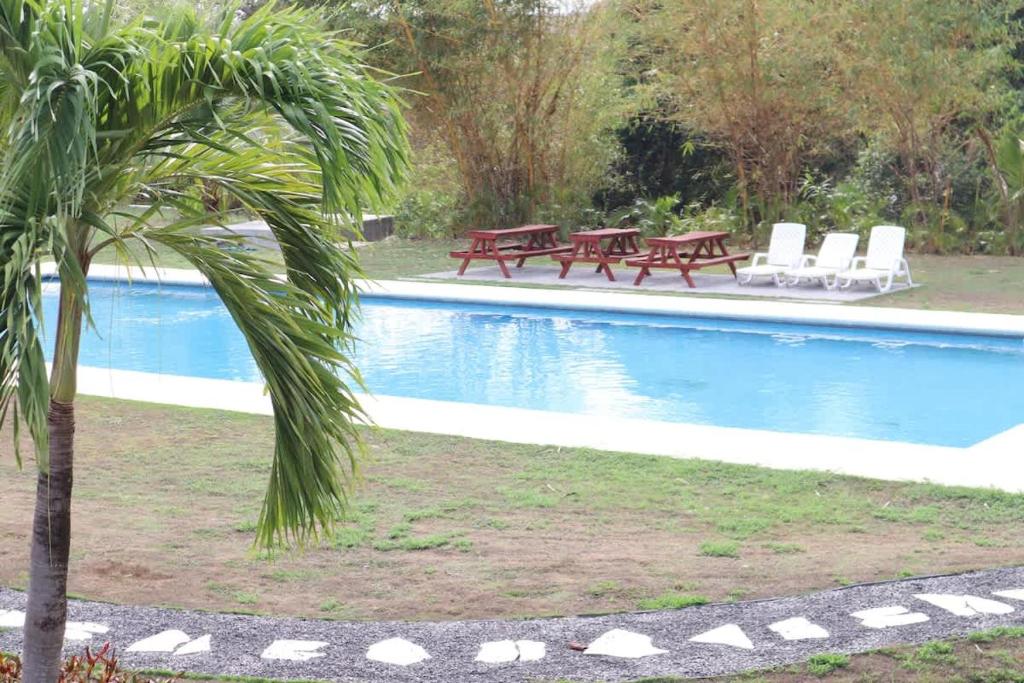 a swimming pool with tables and chairs and a palm tree at Tamarindo Village in San Carlos