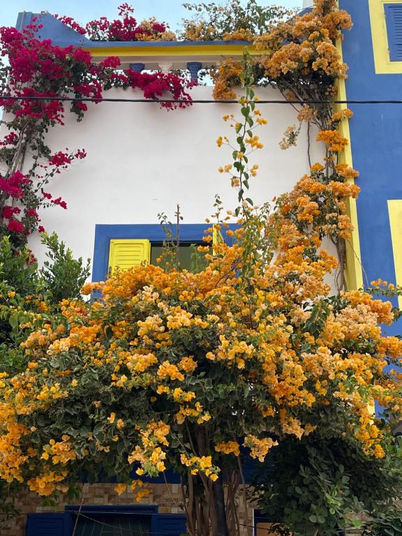 a bunch of flowers on the side of a building at Ocean Desert in Akhfennirr