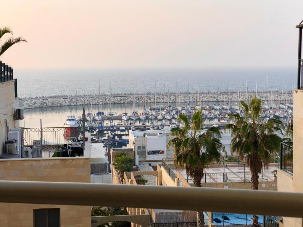 a view of a harbor with a marina at Marina View in Ashkelon
