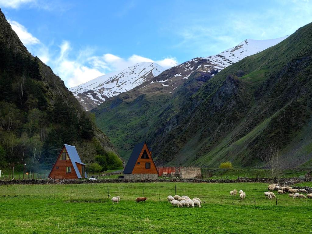a herd of sheep grazing in a field with mountains at Take A Brake Kazbegi Cottage in Kazbegi