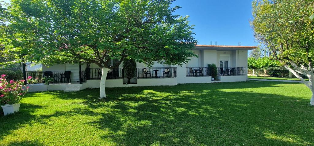 a white house with a tree in a yard at Lemi Apartments in Rizá