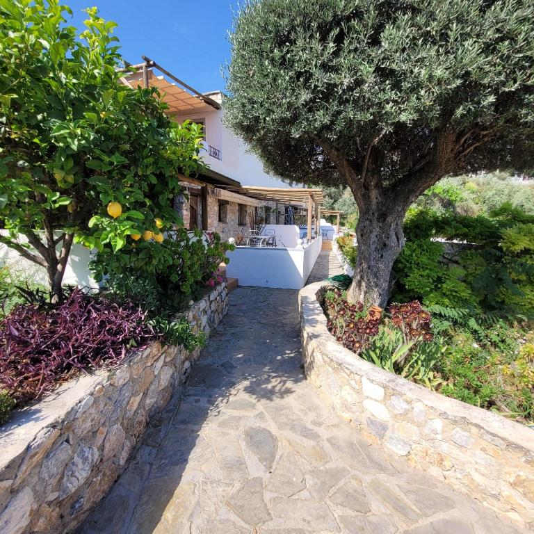 a house with a tree and a stone walkway at Cortijo La Joya in Lanjarón