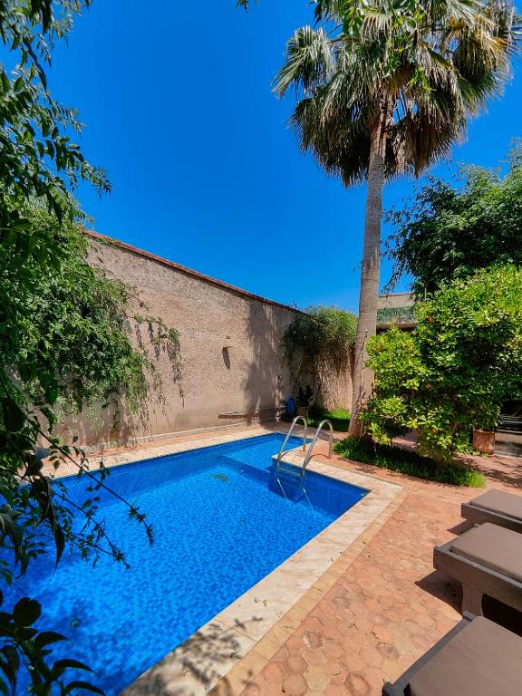 a swimming pool with a palm tree next to a building at Darna in Marrakesh