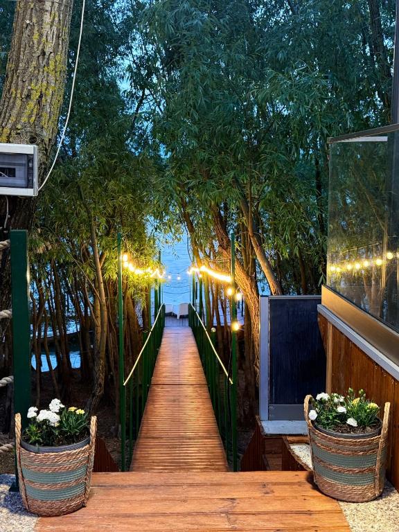 a wooden walkway with trees and lights on it at Cabana Pescarului in Corabia