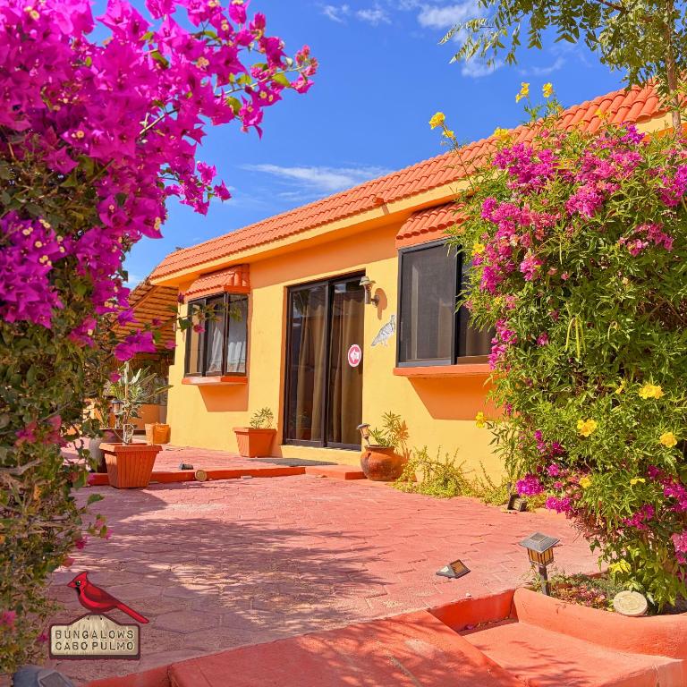 a yellow house with pink flowers in front of it at Bungalows Cabo Pulmo in Cabo Pulmo