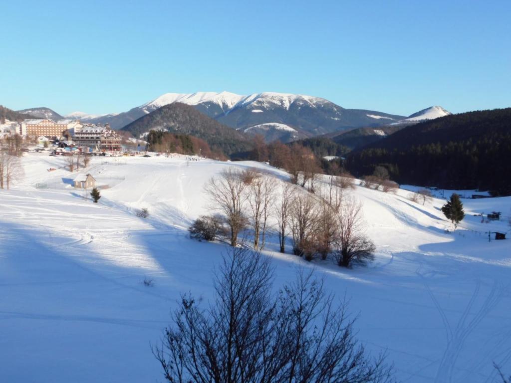 Apartman Donovaly Panorama 31C 4i during the winter