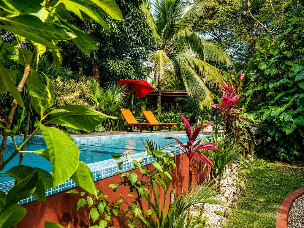 a swimming pool in a garden with chairs and trees at Casa Mapache Pool and Breakfast Available near Tamarindo Beach in Tamarindo