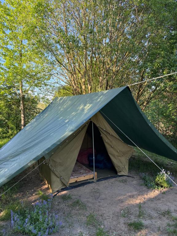 a green tent with a bed in the middle at Red Era Glamping in Vilnius