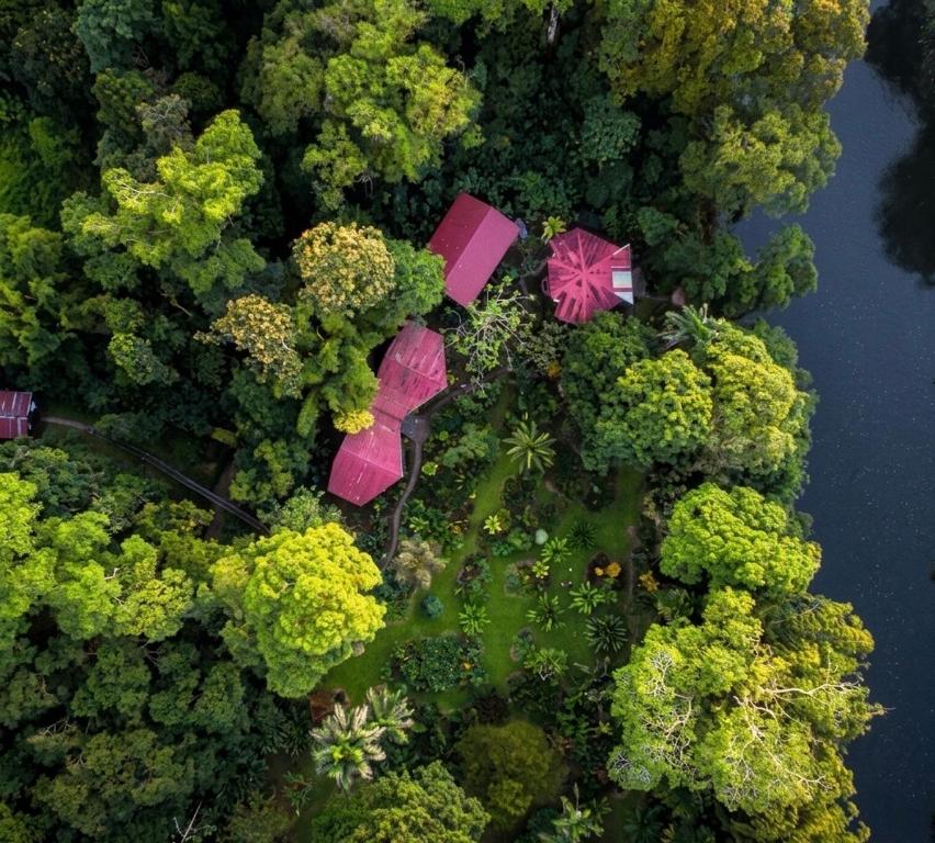 an aerial view of trees with umbrellas and water at Heliconia Island Lodge in Puerto Viejo