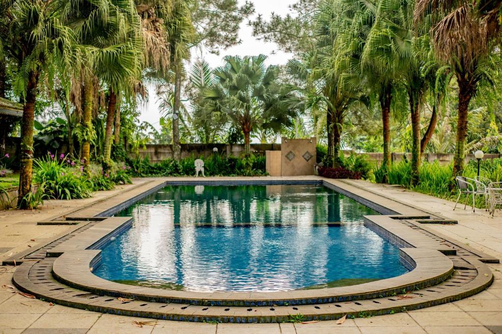 a swimming pool in a yard with palm trees at Katumbiri Resort and Villa by Tripletree in Bogor