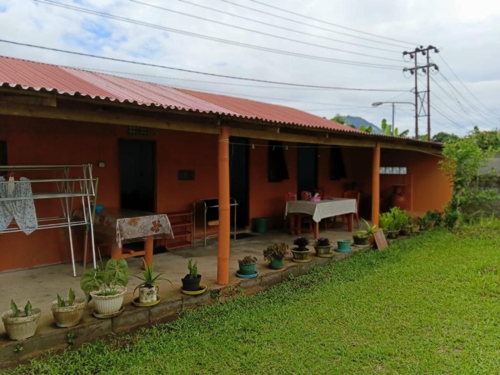 a house with a table and potted plants in front of it at Wale Chika Guest House in Tomohon