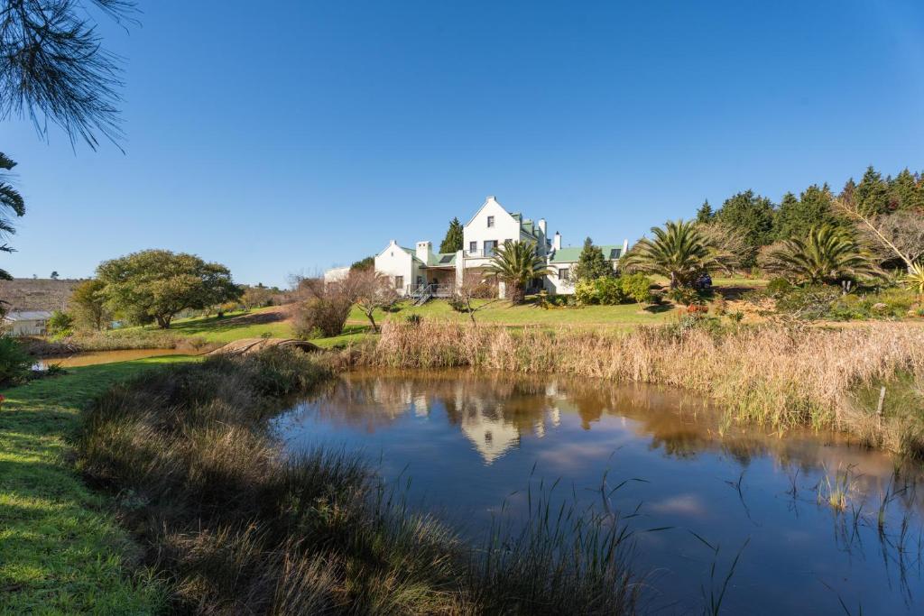 a house on a hill next to a pond at Peace Valley Guesthouse in Napier