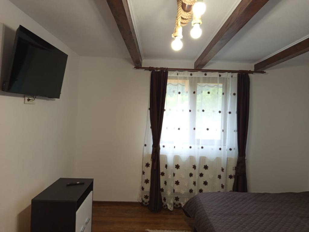a bedroom with a bed and a tv and a window at Bunătăți din Retezat in Nucşoara