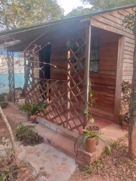 an outside view of a house with a porch at Weaver's Nest Backpackers Accommodation in Nyanda