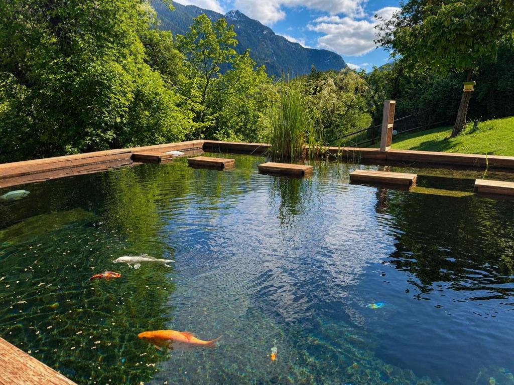 a pond with kites in the water in a park at L'Aiglon- Piscine Naturelle Privatisable in Salvan