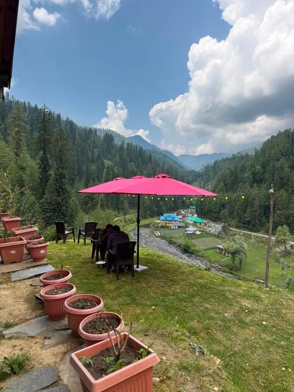 a pink umbrella over a row of potted plants at Shikhar cottage in Jibhi