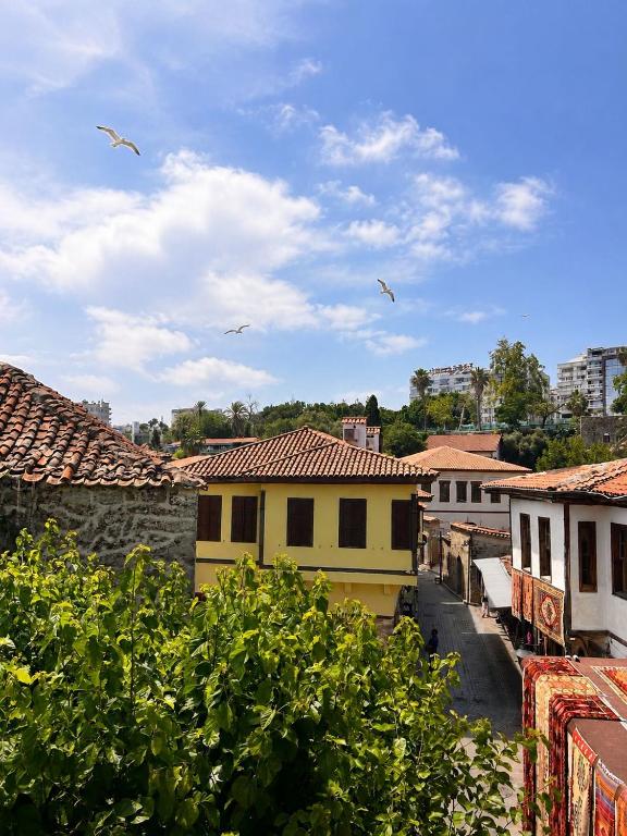 فضای داخلی White City Pension در آنتالیا - تصویر ۳