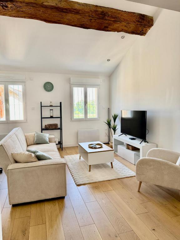 a living room with a couch and a tv at Douceur Suite - 2 bedrooms in Mâcon