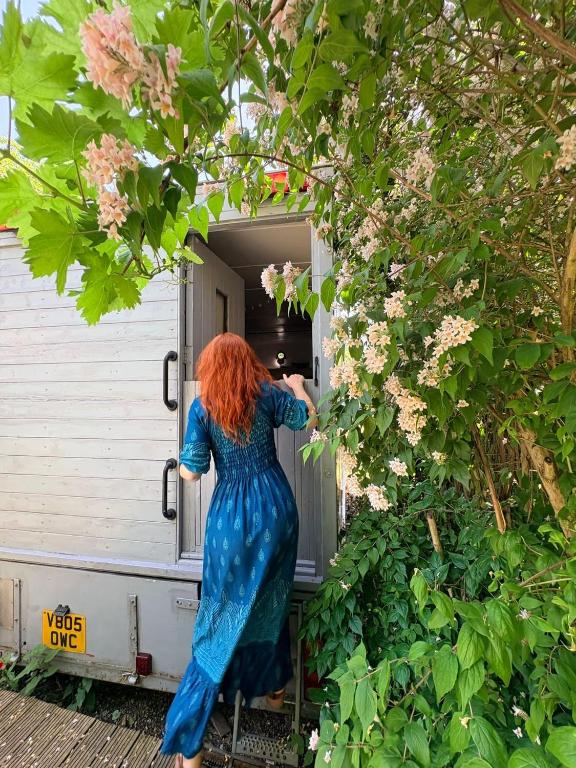 a woman in a blue dress is looking out of a door at Solar Powered Hideaway converted horse box in Fishbourne