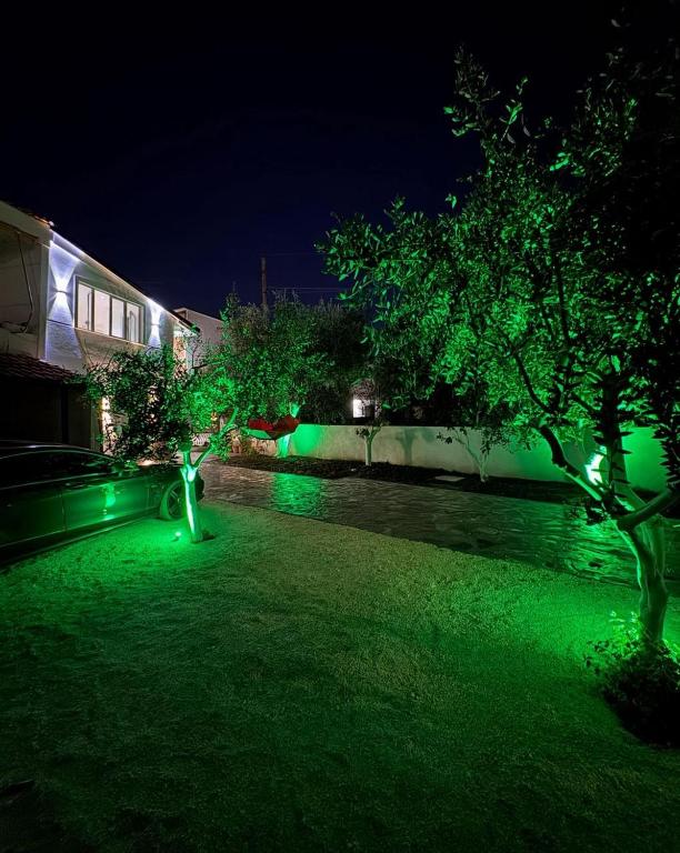 a green lawn with two trees at night at Rent Room Albano in Vlorë