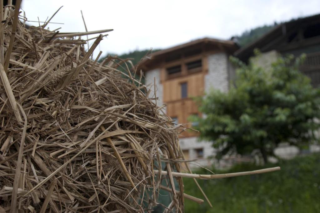 una pila de heno sentada a un lado de una casa en Agricampeggio Ai Gaggi, en Pellizzano