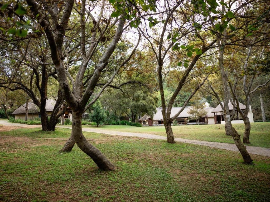 a group of trees in a park with a path at Pinewood Cottages in Renos