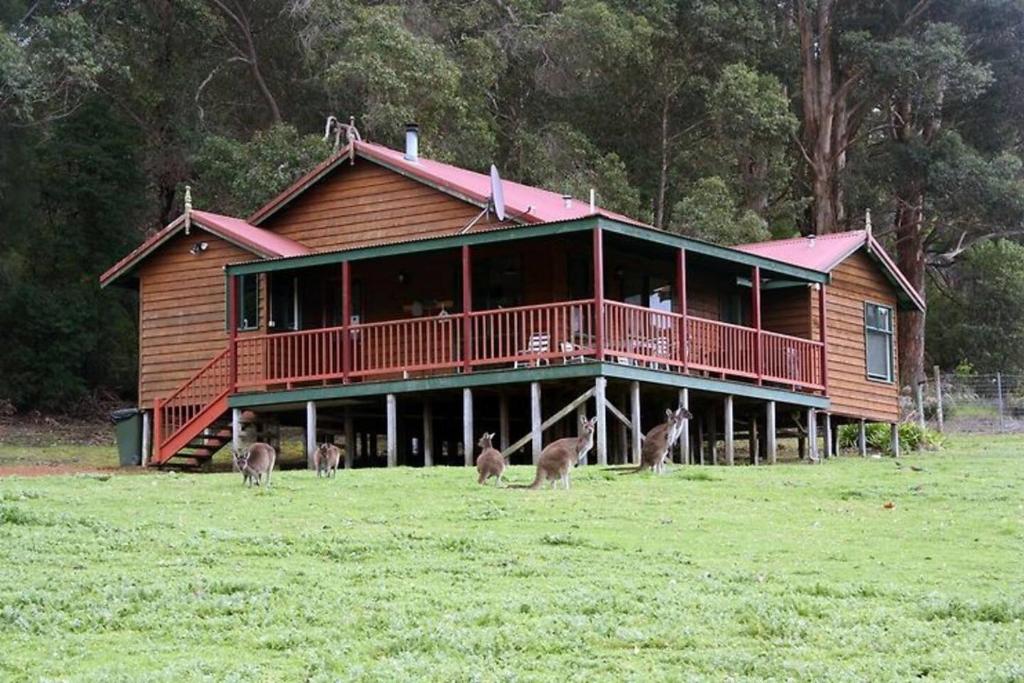 a house with a group of animals in front of it at #2 Walpole Wilderness Resort chalet. Spa + forest. in Walpole