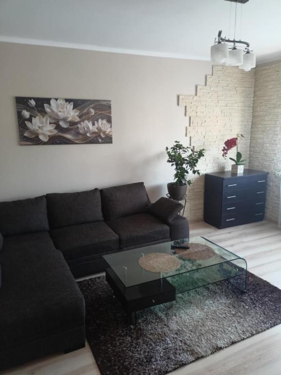 a living room with a couch and a glass coffee table at Apartament Kalia in Zamość