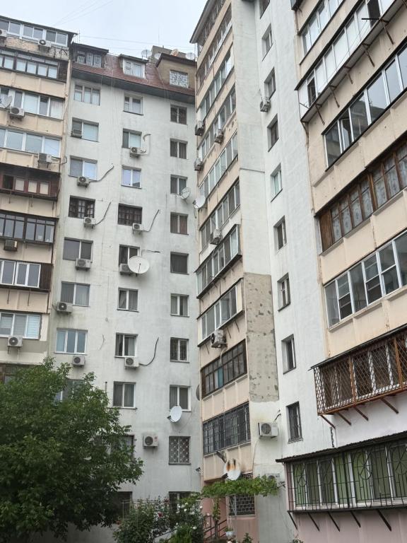 Apartments Fontan photo 6