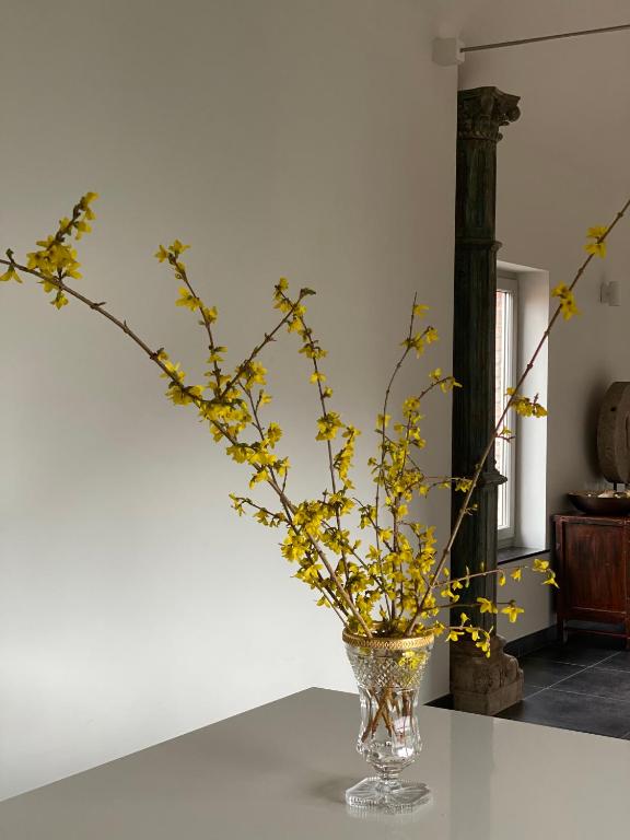 Foto de la galeria de Kirisavan Loft a Borgloon