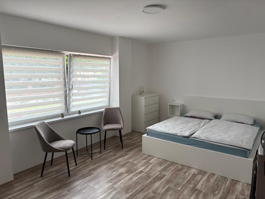 a bedroom with a bed and two chairs and a table at Studio U Martina in Mariánské Lázně