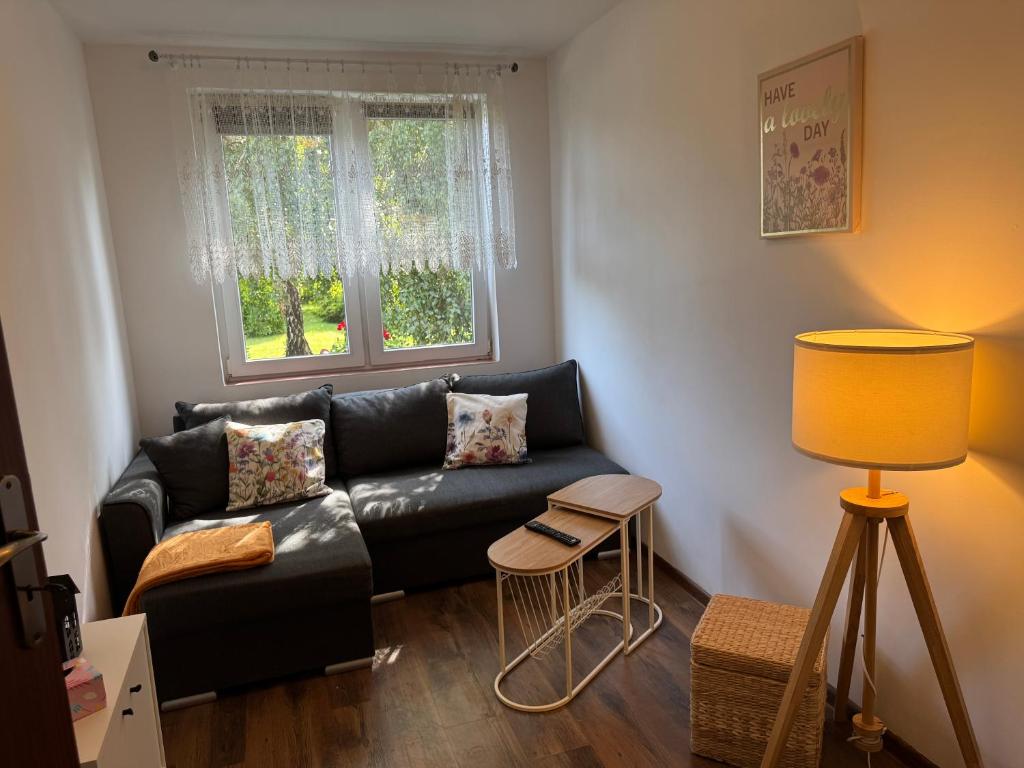 a living room with a black couch and a window at Bokaczówka in Ustka