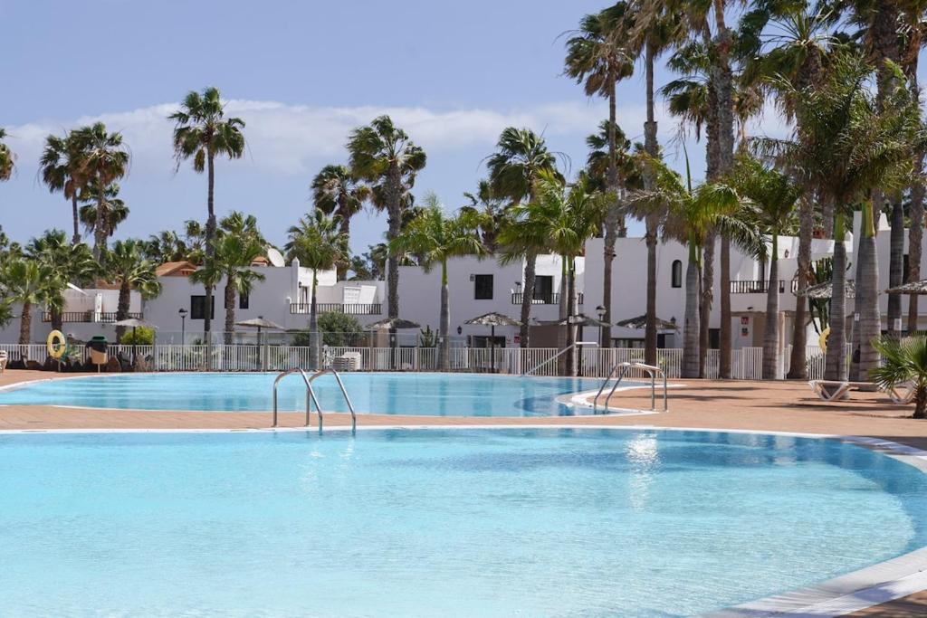 Oasis Nomada Corralejo