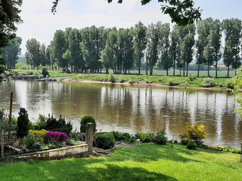 a pond in the middle of a park at Eigentumswohnung Nähe See in Pirna