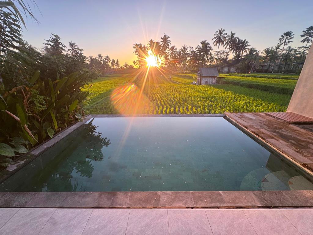 a pool of water in front of a field with the sun setting at Intan Villa & Suite Ubud in Ubud
