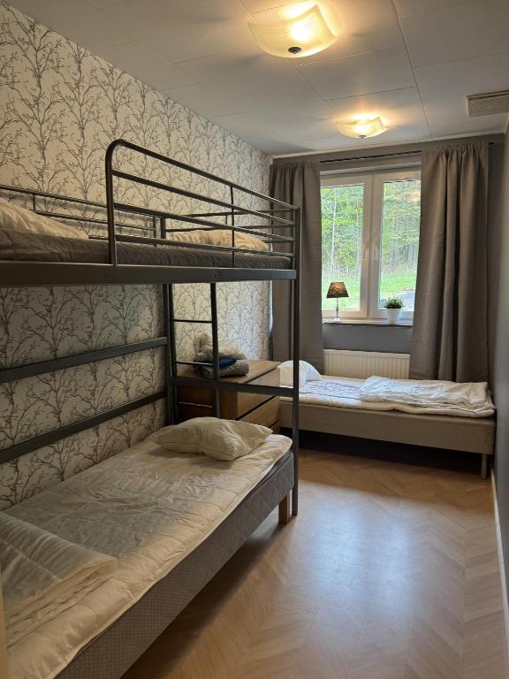 two bunk beds in a room with a window at Ekängens vandrarhem in Virserum