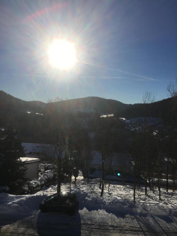 een zon schijnt over een met sneeuw bedekt veld bij Appartement im Skigebiet Eschenberg Winterberg Niedersfeld in Winterberg