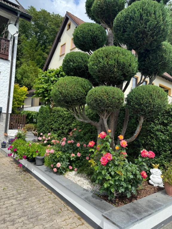 a garden with flowers and trees and bushes at Ferienwohnung im Grünen in Gößweinstein