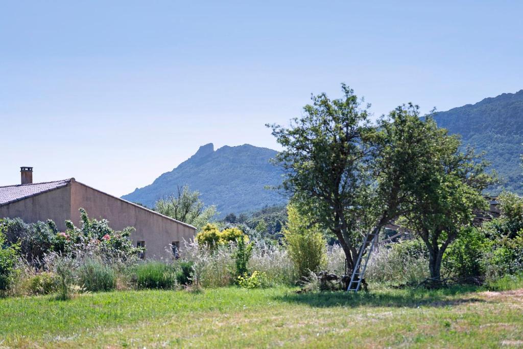 a tree in a field with a building and mountains at Gîte rural chez Michel in Soulatgé