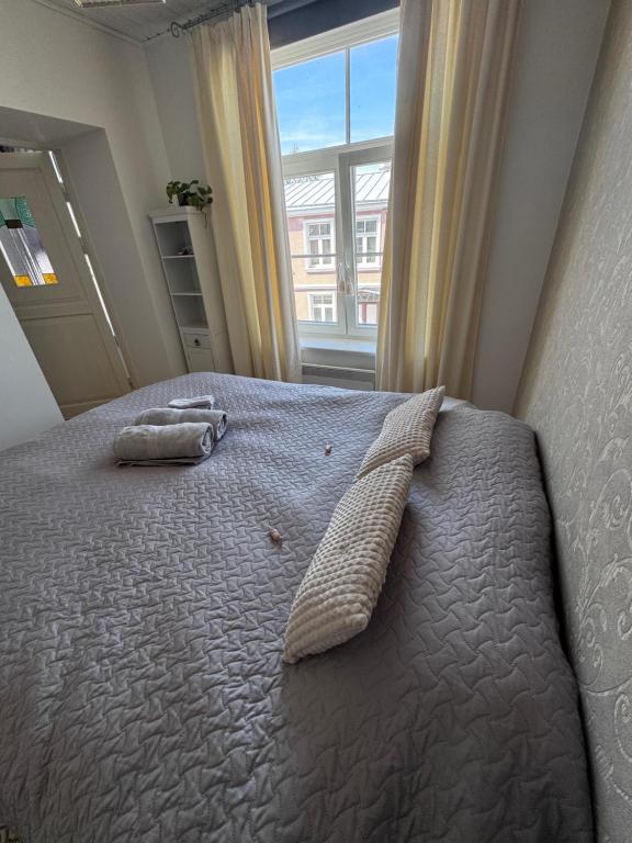 a bedroom with a bed with two pillows and a window at Karja Apartment with sauna in Haapsalu