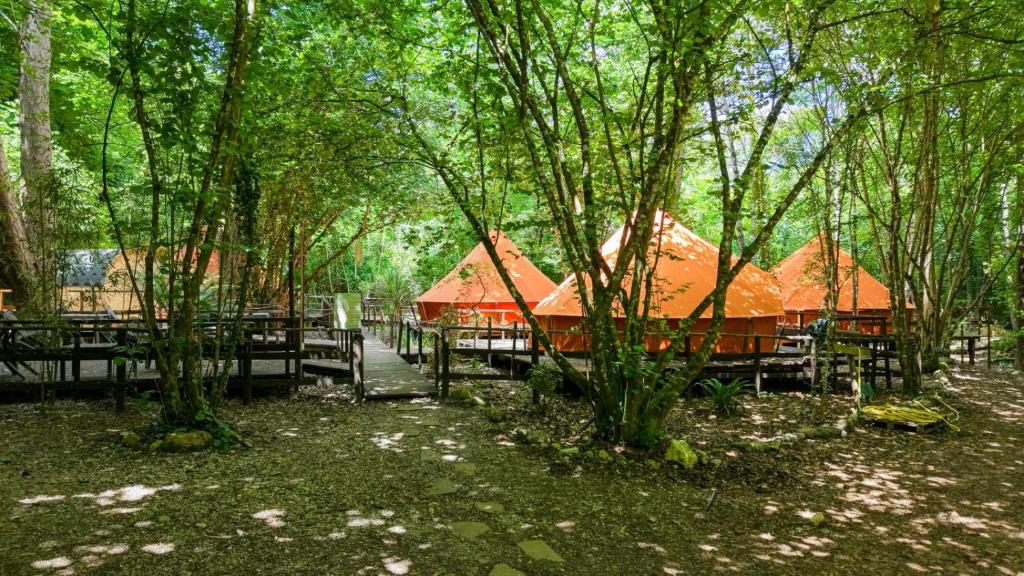 River Tribe Glamping