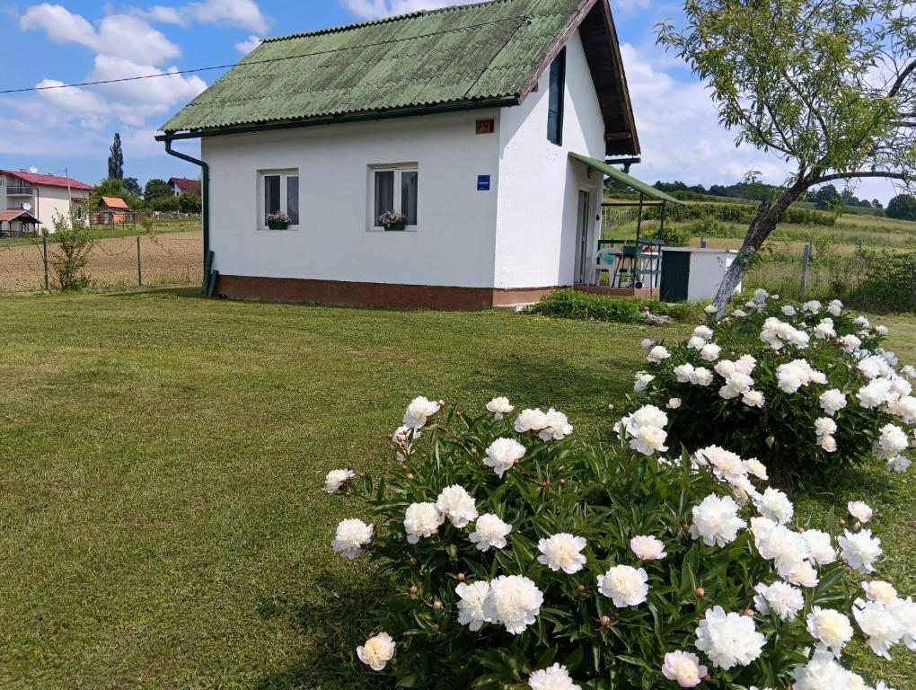a white house with white flowers in front of it at Studio apartman Matea in Budačka Rijeka
