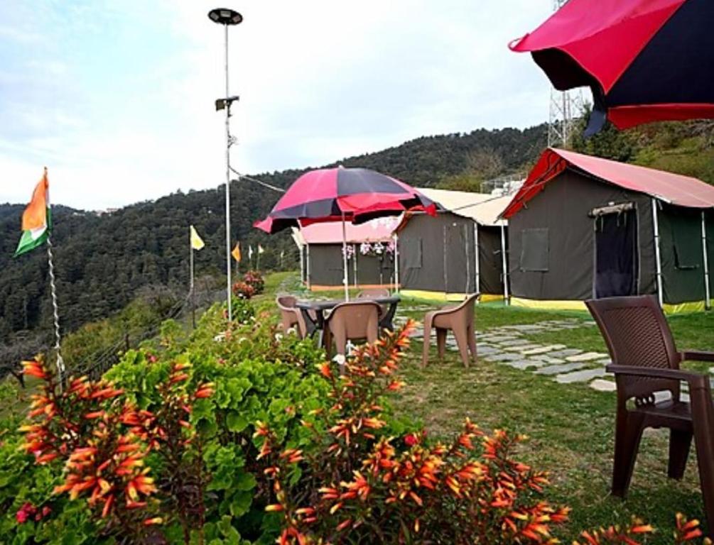 a group of tents with chairs and umbrellas in a yard at Camping in Chail in Chail