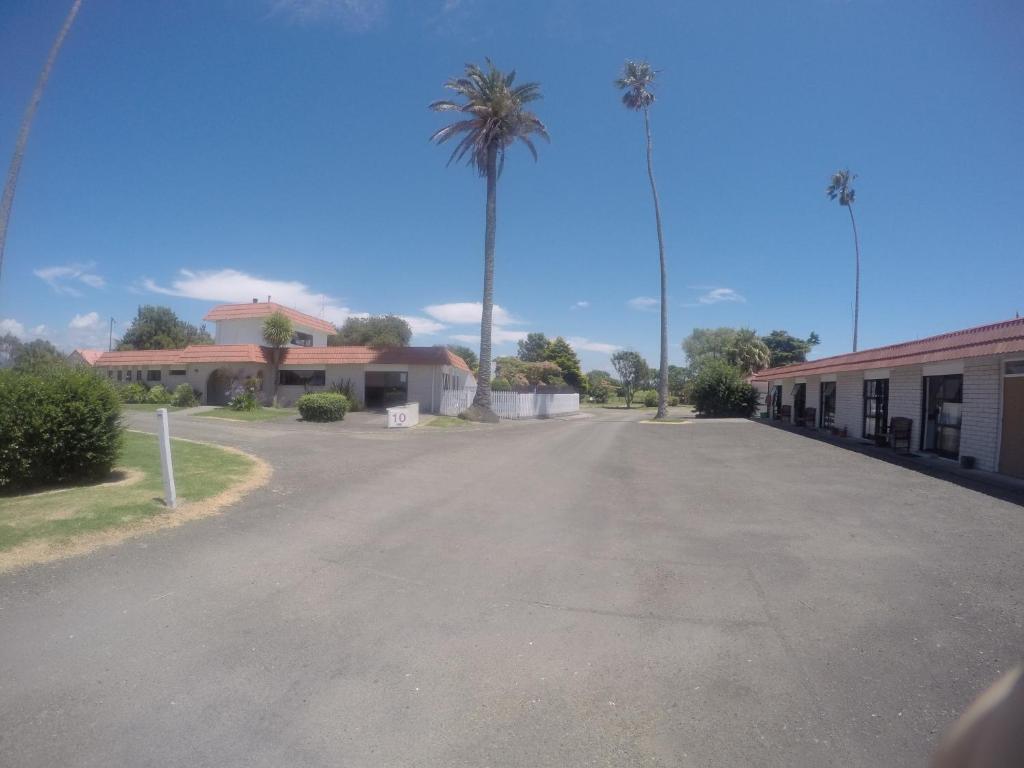 een lege straat met een palmboom en een gebouw bij Opotiki Holiday Park in Opotiki