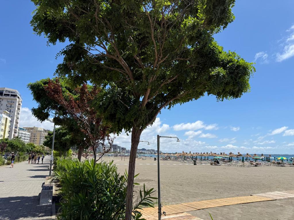 a tree on the beach with a street light at Shengjin Apartment in Lezhë