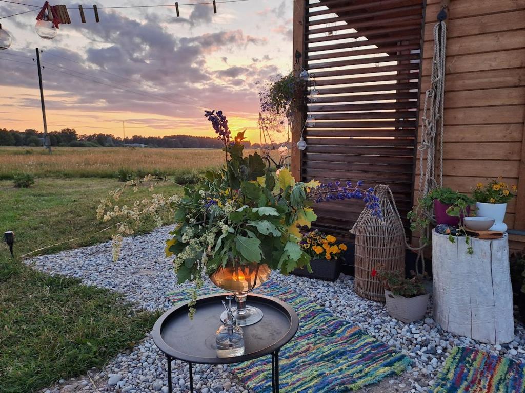 a table with a vase of flowers on a rug at Zeltarasa in Avotkalni